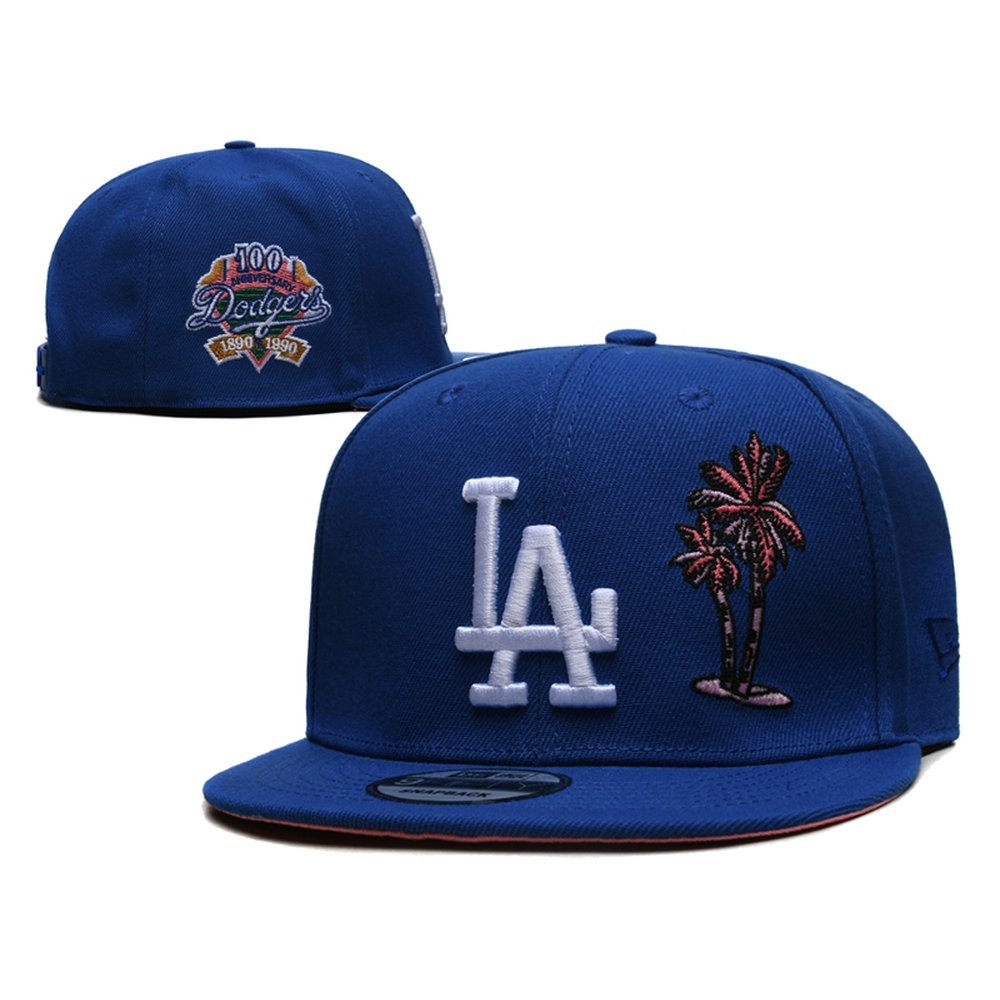 los_angeles_dodgers_fitted_hat_flwq3zzapm7c.jpg